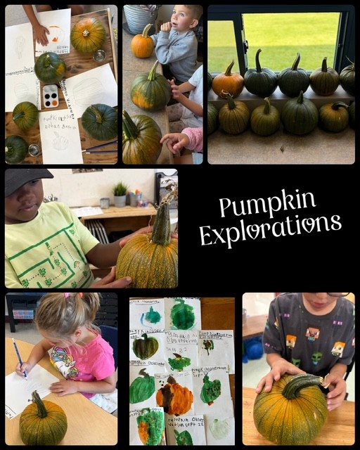 gr-1-pumpkins.e9ca105098.jpg