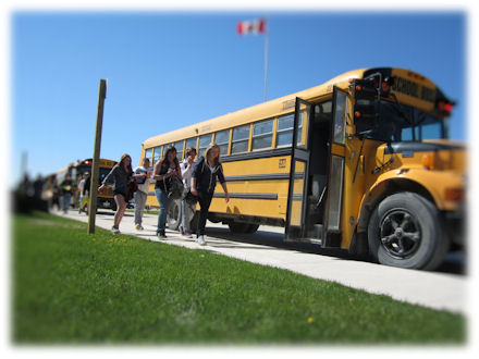 bus.37c0ab1176.jpg